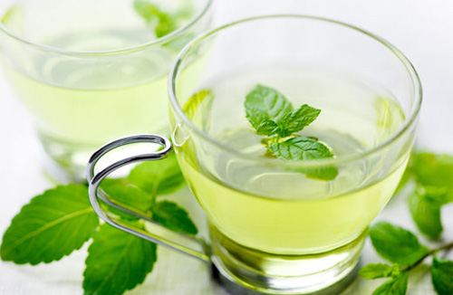 7 công dụng chữa bệnh  của cây bạc hà mà chúng ta không nên bỏ qua