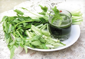 Rau cần nước và công dụng chữa bệnh ít người biết